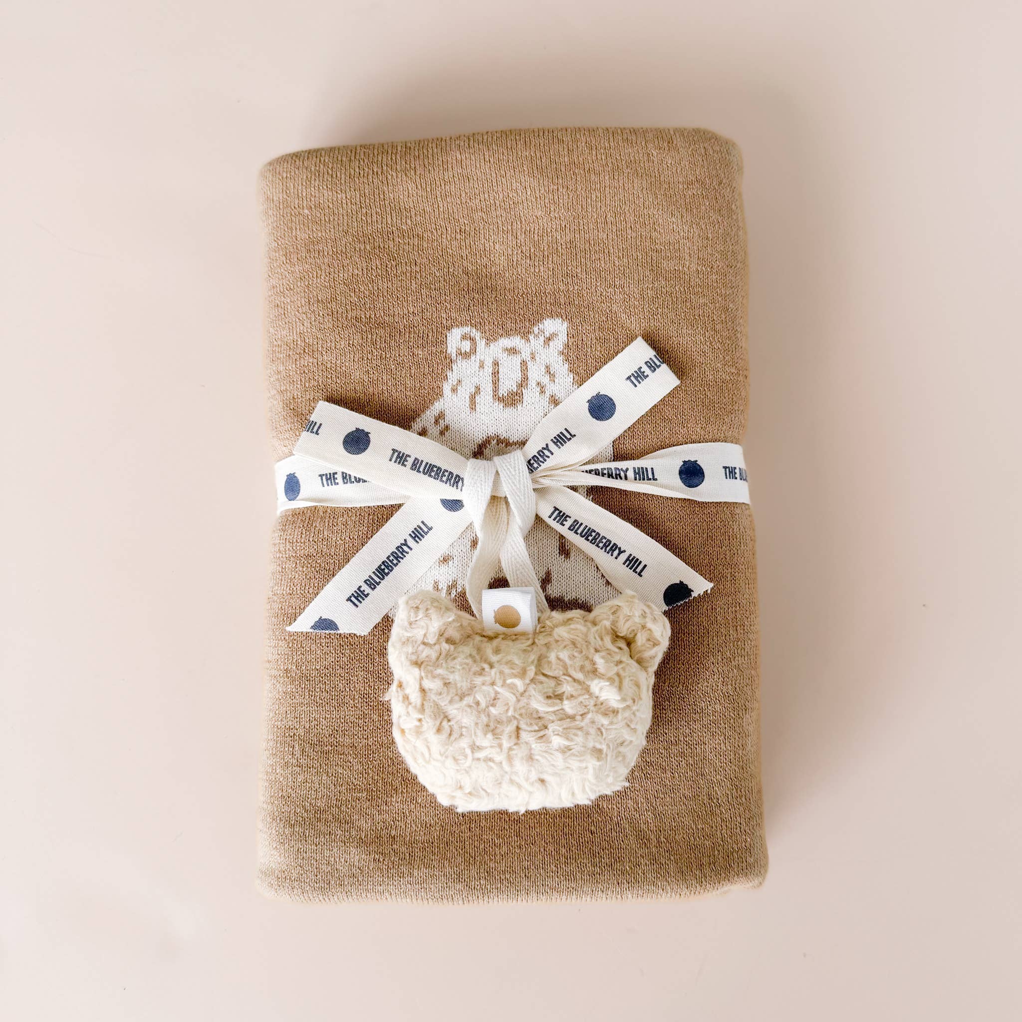 Bear Plush Pacifier Holder